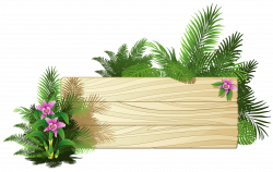 Exotic Board PNG Clipart | Labely | Pinterest | Exotic, Board and ...