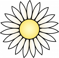 Sunflower Drawing Template at GetDrawings.com | Free for personal ...