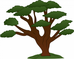 Tree Of Life Clipart | Sweeping Oak Tree Design - Free Clip Art ...