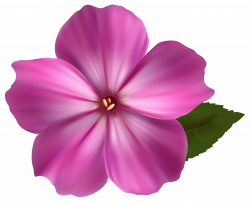 Pink Flower PNG Clipart Image | Gallery Yopriceville - High-Quality ...