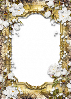 Gold PNG Frame with Diamonds and Roses | Gallery Yopriceville ...