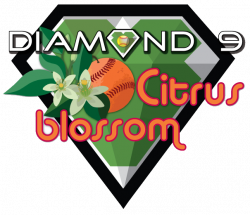 Diamond 9 Softball Events - Anthony Travel