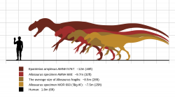 Allosaurus Size Comparison | Allosaurus (Jurassic) | Pinterest ...