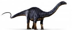 apatosaurusajax | Explore apatosaurusajax on DeviantArt