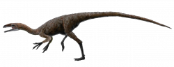 Dinosaur clipart realistic - Pencil and in color dinosaur clipart ...