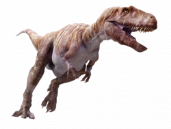 Megalosaurus | Dinosaurs & The Land Before Time | Pinterest