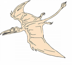 How can you Miss Photographing a Modern Pterosaur? | | Live Pterosaur