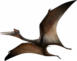 Quetzalcoatlus | Dinosaur Wiki | FANDOM powered by Wikia