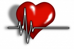 A Cardiologist Reports That Chiropractic Can Improve Heart Problems ...