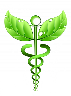 RateMyNaturopath - Verified Doctor Reviews, Ratings & Prices
