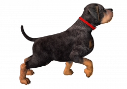 PNG HD Dogs Transparent HD Dogs.PNG Images. | PlusPNG
