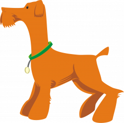 Orange Dog Profile Icons PNG - Free PNG and Icons Downloads