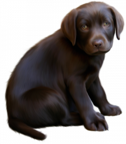Cute Little Brown Dog with Blue Eyes Clipart | Gallery Yopriceville ...