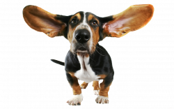 Funny Dog Transparent PNG Clipart | Gallery Yopriceville - High ...