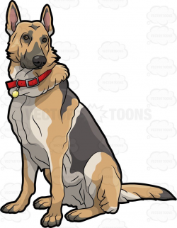 A German Shepherd pet dog #cartoon #clipart #vector ...