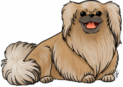 Jen's Dogs — Breed of the month is the Pekingese! Check out all...