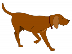 German Shorthaired Pointer Clipart at GetDrawings.com | Free for ...