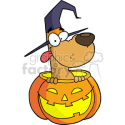 Halloween Dog in a Jack O Lantern clipart. Royalty-free clipart # 377747