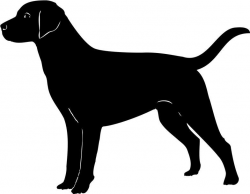 Labrador cliparts | Silhouettes | Dog outline, Dog ...