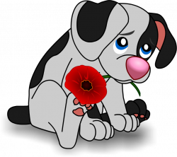 Remembrance Day | Fetching Media