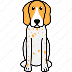 American English Coonhound | Orange Edition | Dog Breed Cartoon ...