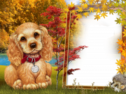 Fall Style Kids Transparen PNG Photo Frame with Cute Puppy | Marcos ...