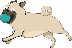 Puppy clipart pug - Pencil and in color puppy clipart pug