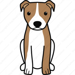 American Pitbull Terrier Natural Ears | Red Edition | Dog Breed ...
