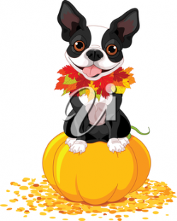 Free Dog Clipart thanksgiving, Download Free Clip Art on ...