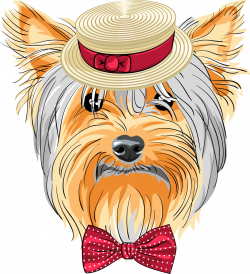 Yorkie Puppy Clipart at GetDrawings.com | Free for personal use ...