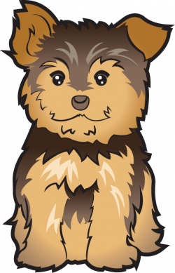 bgkennels - Morkies - Morkies The best of both breeds a Yorkie ...