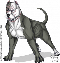 Pitbull clipart muscular - Pencil and in color pitbull clipart muscular