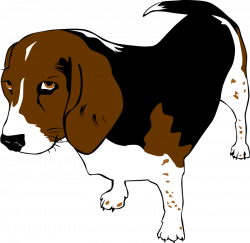 Beagle Dog Clip Art free image