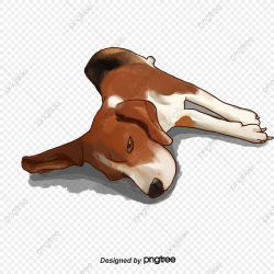 A Child Sleeping On A Dogs Body, Body Vector, Vector Png ...