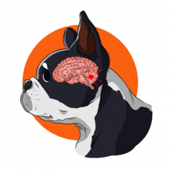 Brain Tumors in Dogs — Innovet Pet Products I Best Hemp ...