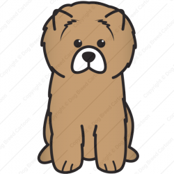 Chow Chow | Brown Edition | Dog Breed Cartoon | Download Your Breed ...