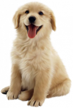 Dog Transparent PNG Pictures - Free Icons and PNG Backgrounds