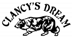 Rescued Border Collies Available for Adoption