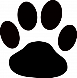 Siberian Husky Paw Puppy Clip art - Huella De Perro 2366*2399 ...