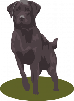 Labrador Retriever Puppy Clip art - Black dog 941*1280 transprent ...
