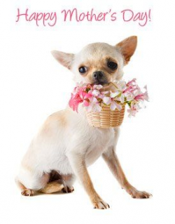 Mother's Day Printable Cards From Your Pet - Pet360 Pet ...