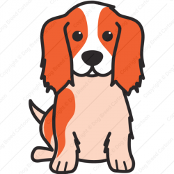 Cavalier King Charles Spaniel | Color Edition | Dog Breed Cartoon ...