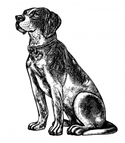 Free Vintage Dog Clip Art - Old Design Shop Blog