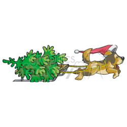 Puppy Pulling a Christmas Tree with a Sled clipart. Royalty-free clipart #  143586