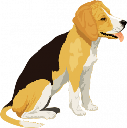 Beagle clipart black dog - Pencil and in color beagle clipart black dog