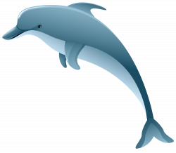 Dolphin PNG Clip Art Image | Gallery Yopriceville - High-Quality ...