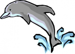 Free dolphin clipart clip art pictures graphics ...