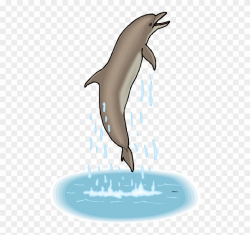 Dolphin Dance - Gif Dolphin Png Clipart (#920355) - PinClipart