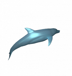 Cool Animated Dolphins Clip Art Images at Best Animations