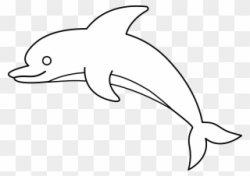 Free PNG Dolphin Clip Art Download - PinClipart